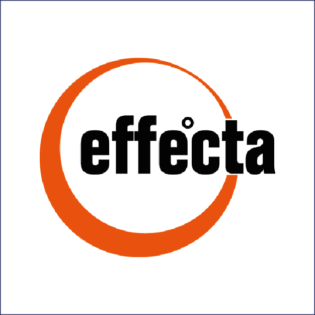 Logo EFFECTA