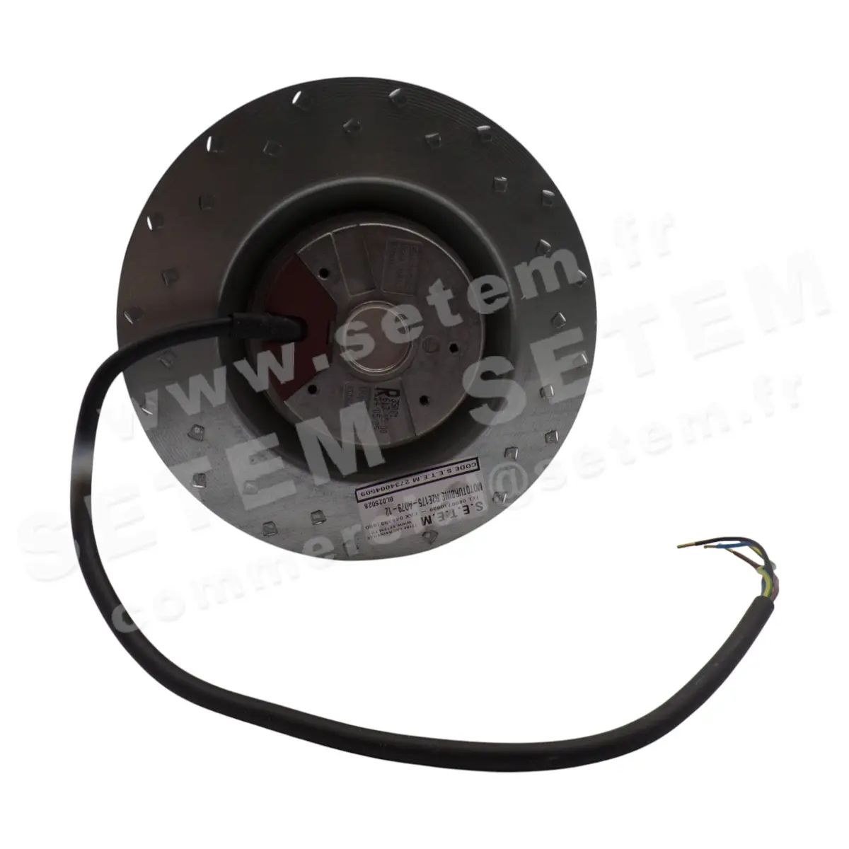 0004202904-MOTOTURBINE EBM R2E175-AO79-12 2