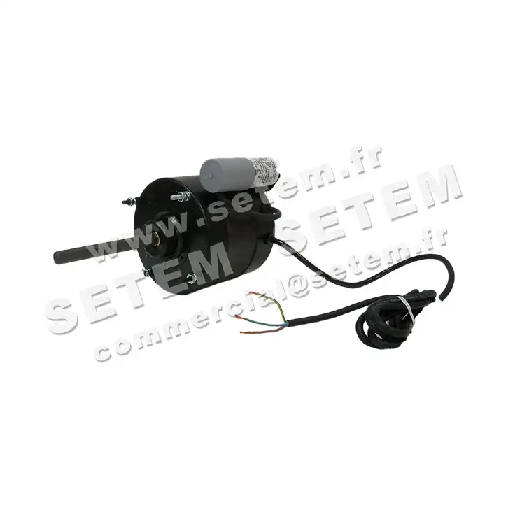 0087000003-MOTEUR AOSMITH DE3J6817K 2