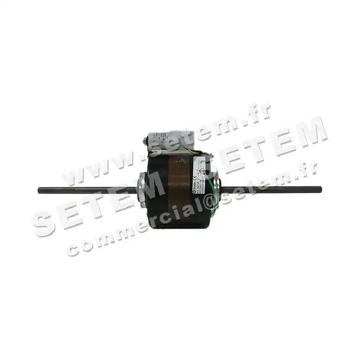 0087000186-MOTEUR AOSMITH DE2G6399K 2