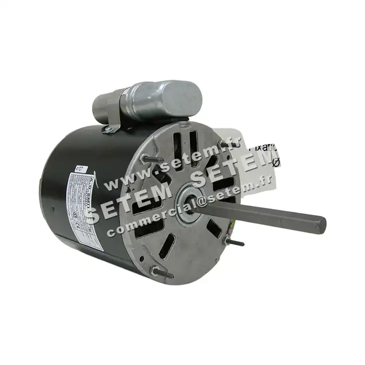 0087000204-MOTEUR AOSMITH F48T14A13 2