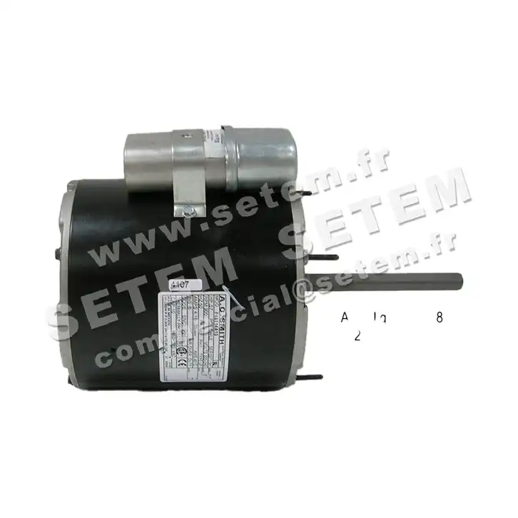 0087000204-MOTEUR AOSMITH F48T14A13 3
