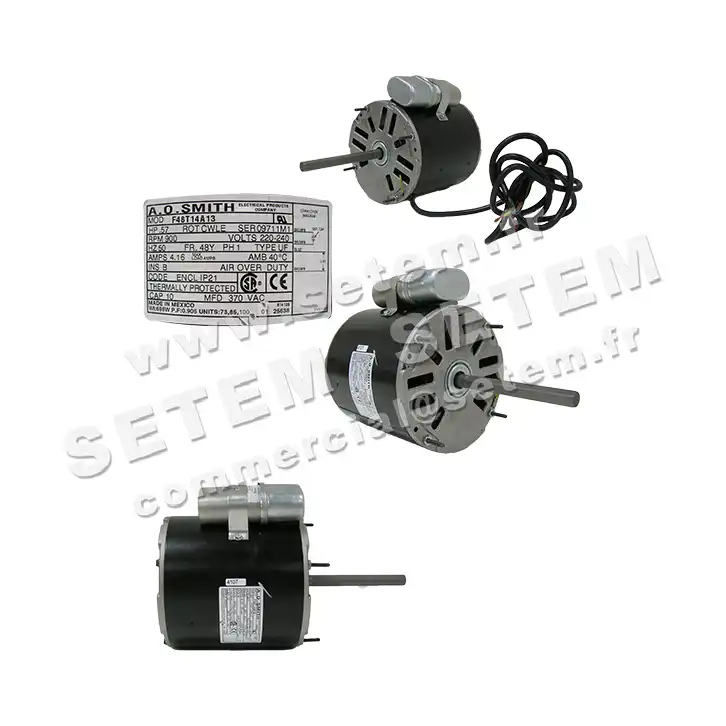 0087000204-MOTEUR AOSMITH F48T14A13 6