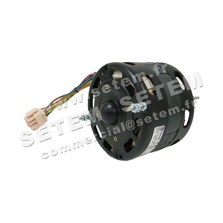 0087001031-MOTEUR AOSMITH CE2E6694K "130.020.306" 2