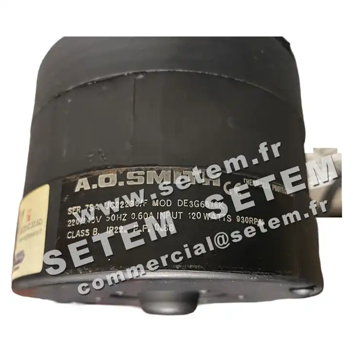 0087001326-MOTEUR AOSMITH DE3G6816K 3