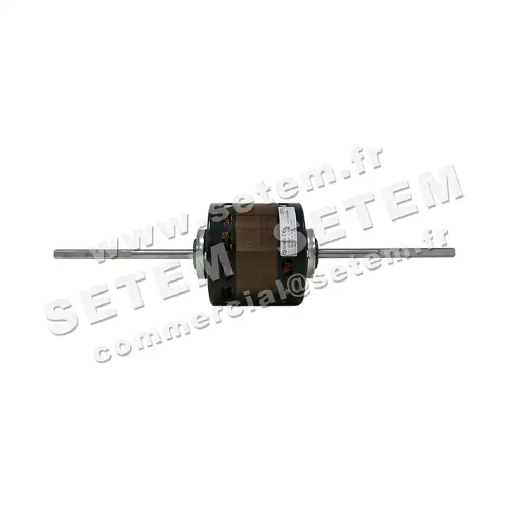0087006228-MOTEUR AOSMITH DE2J6228K 2