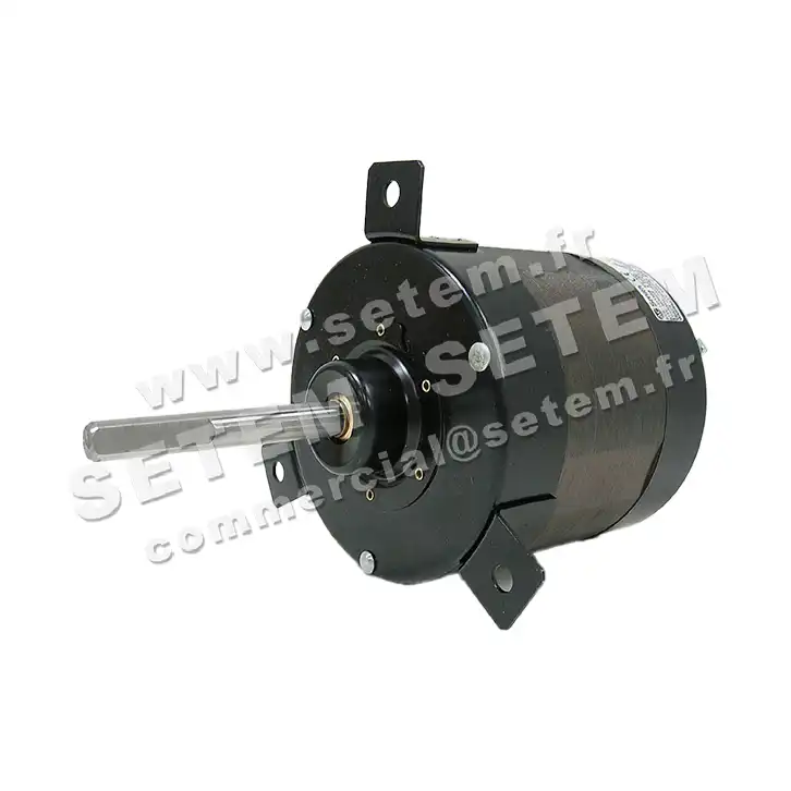 0087006565-MOTEUR AOSMITH DL2L6565K 3