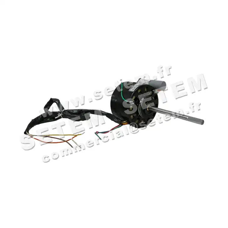 0087006789-MOTEUR AOSMITH DE2E6789K 2