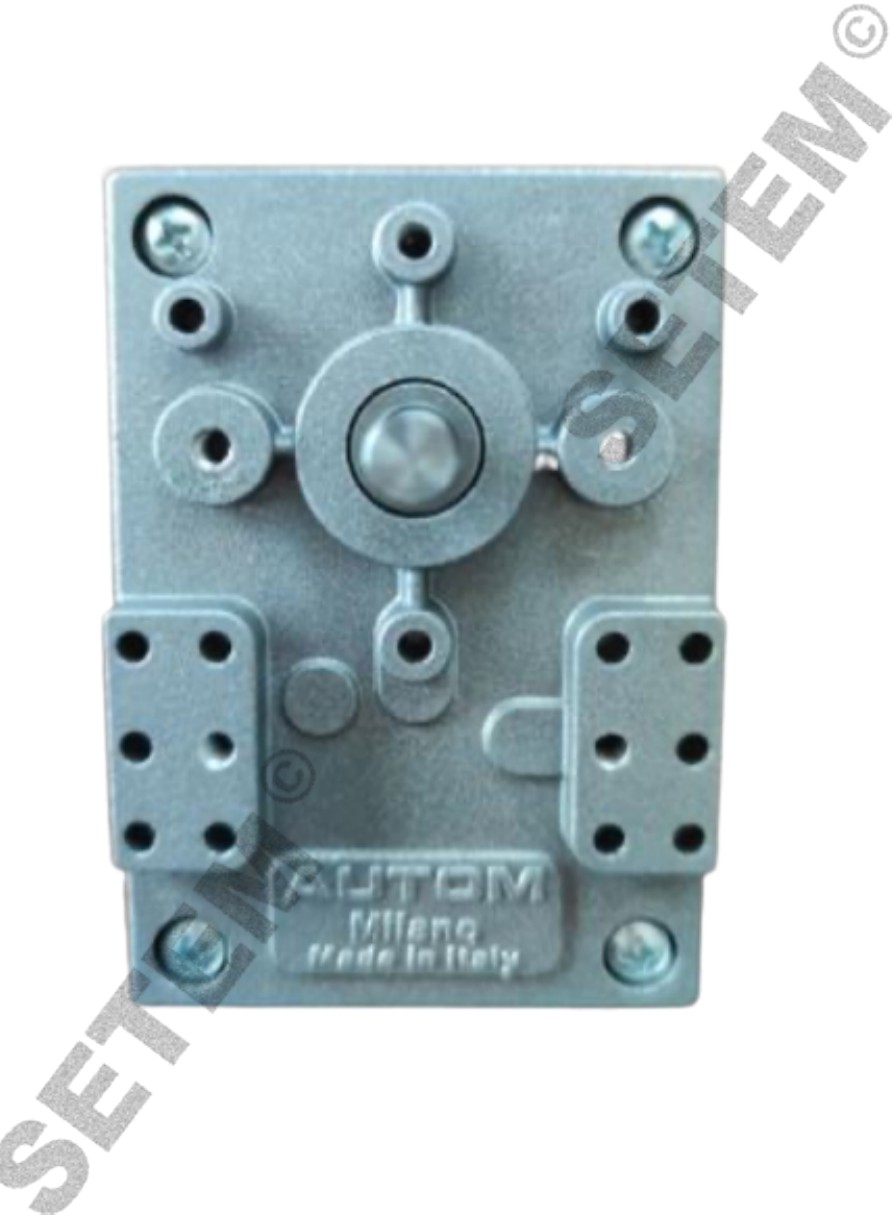 0099501250-MOTOREDUCTEUR AUTOM ASR/45/V HORAIRE 2