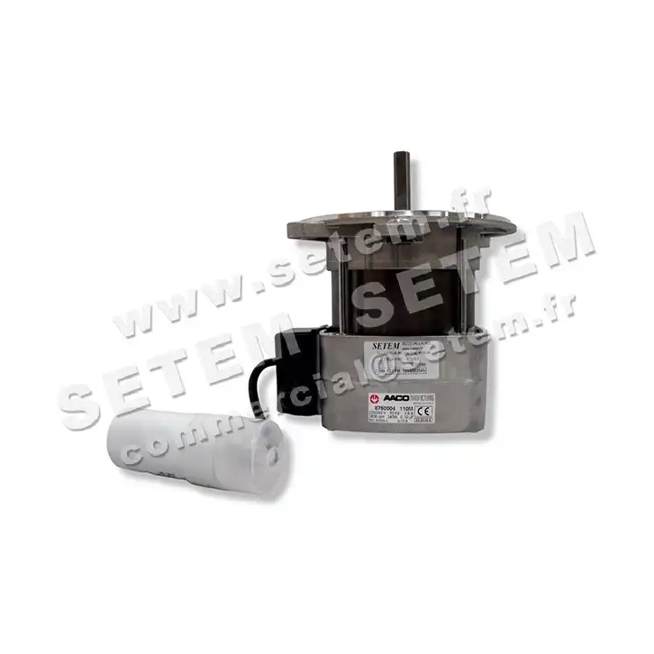 0115002545-MOTEUR AACO 110M *8750004* 2