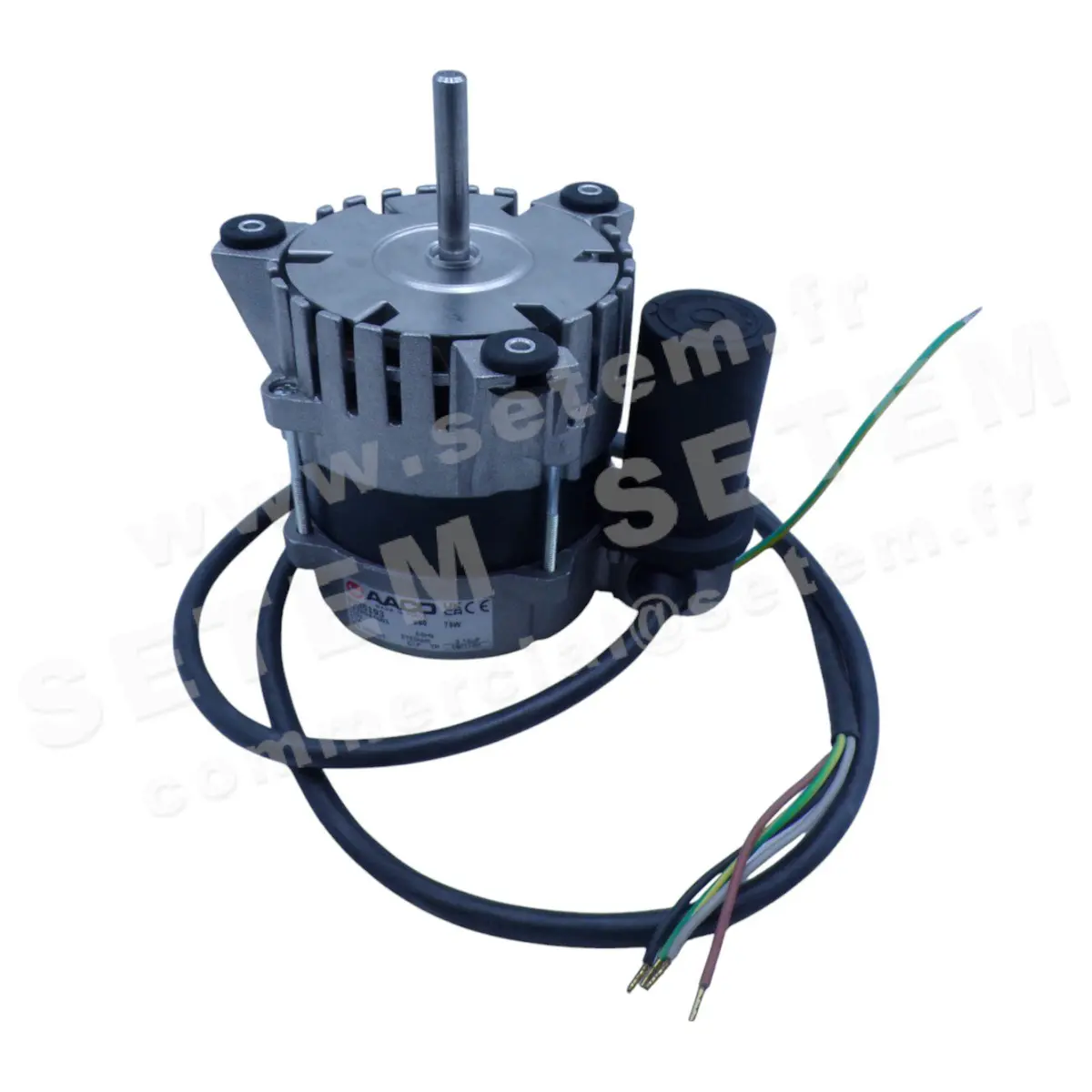 0115006236-MOTEUR AACO 8035193 S60 75W 230V 50Hz