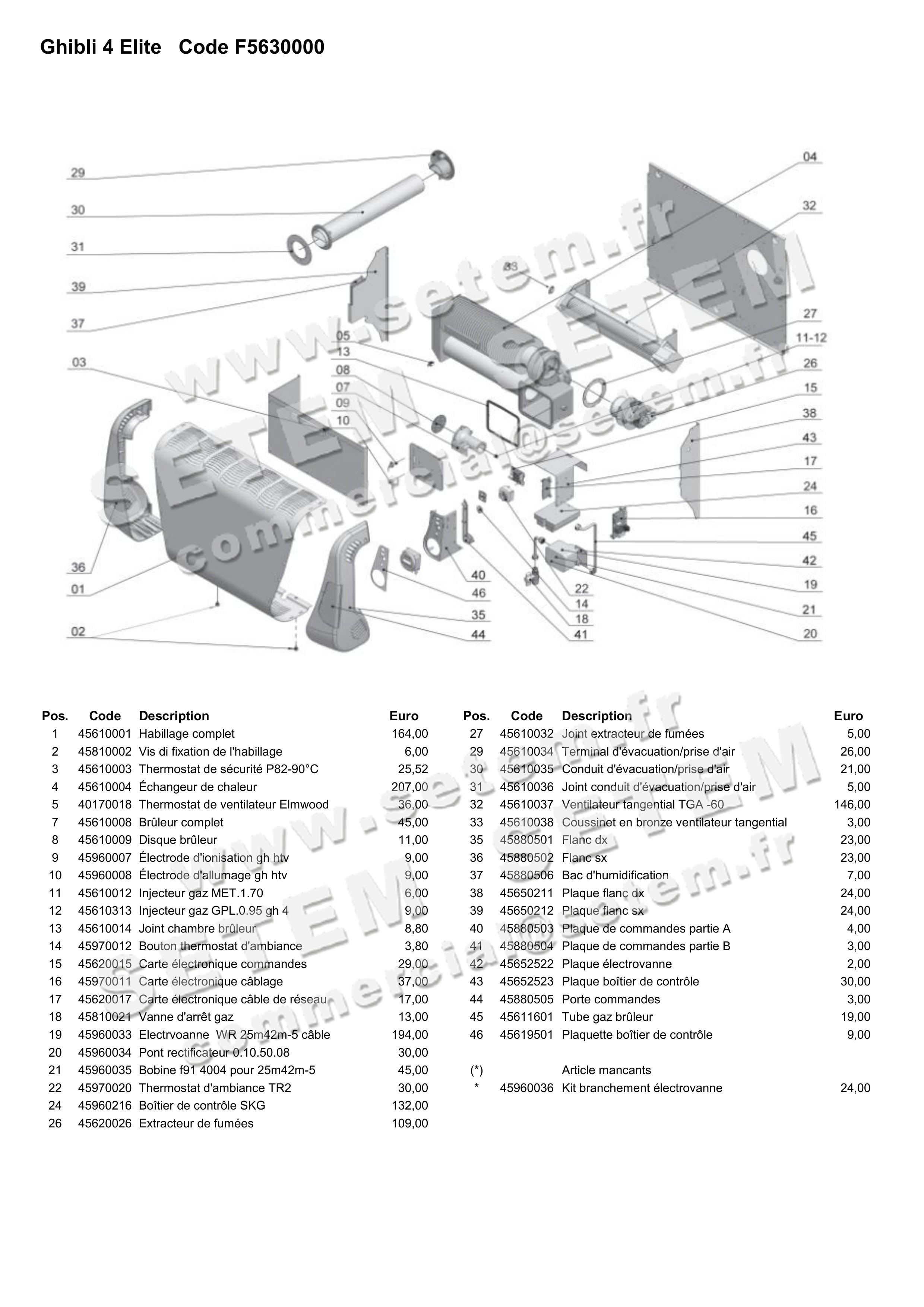 0160000020-RADIATEUR ACCORRONI GAZ GHIBLI 4 ELITE