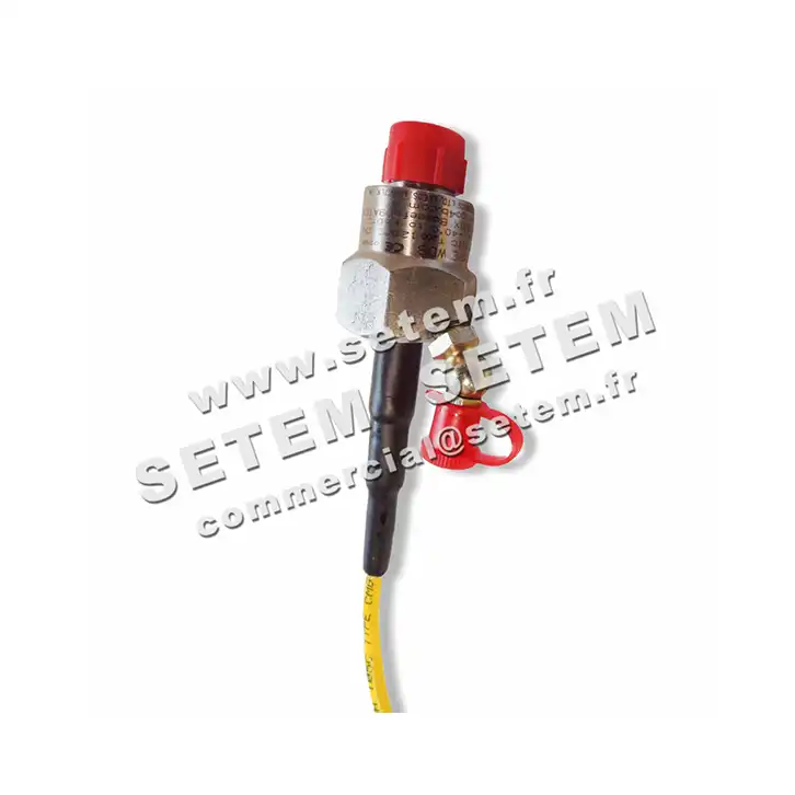 0369000060-SONDE 4B WDB819V3AI 3