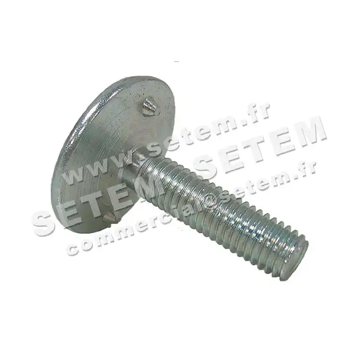 0369001011-LOT DE 100 BOULONS 8X35ZN 4B