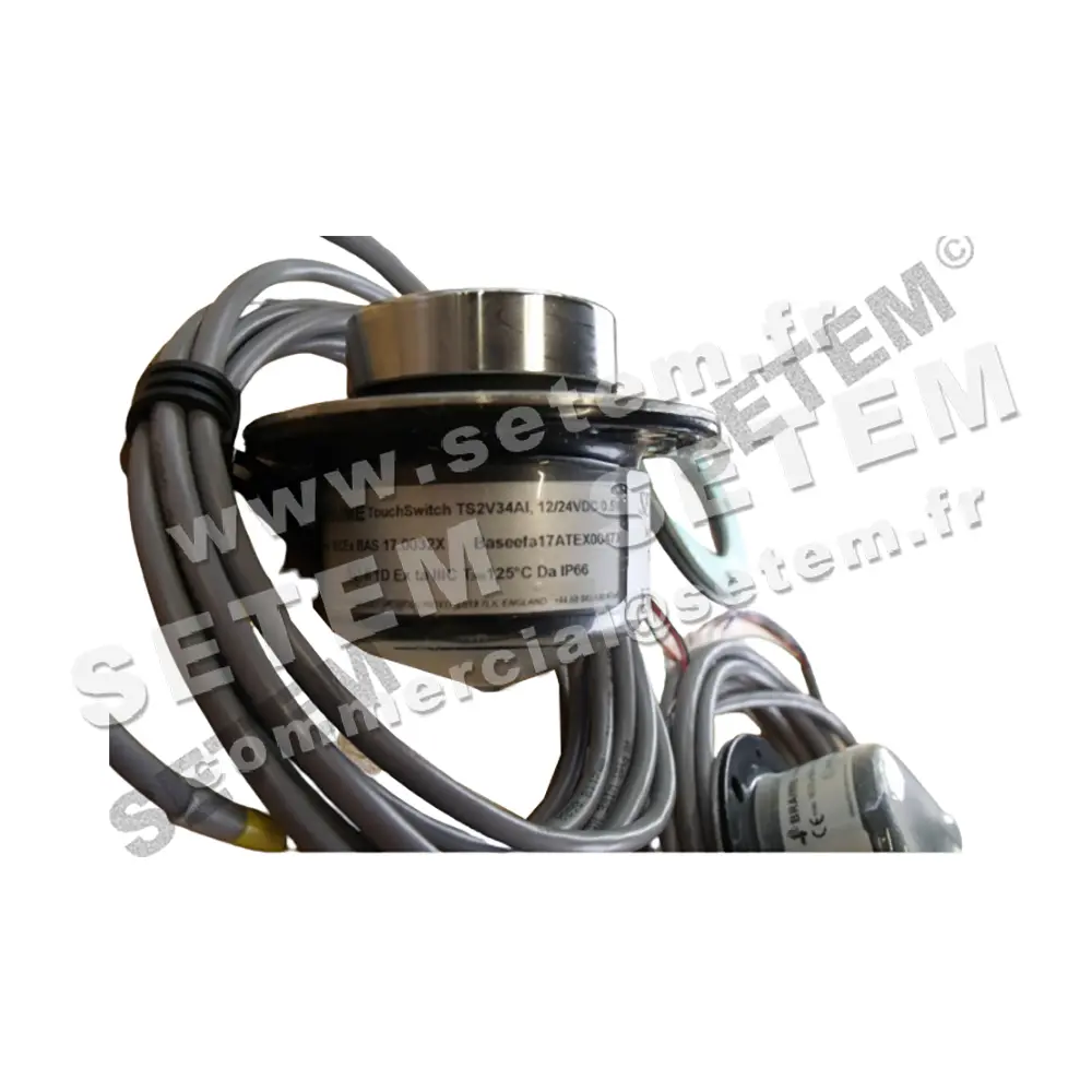 0369009623-TOUCHSWITCH TS2V34AI 4B 8