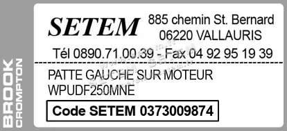 0373009874-PATTE GAUCHE SUR MOTEUR BROOK WPUDF250MNE 3