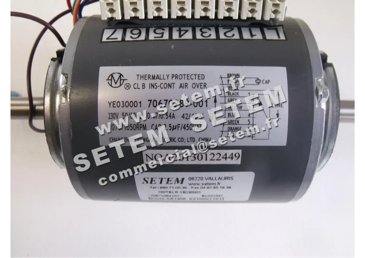 0738501101-MOTEUR CHANGZHOU YE030001 "70670289.001" 2