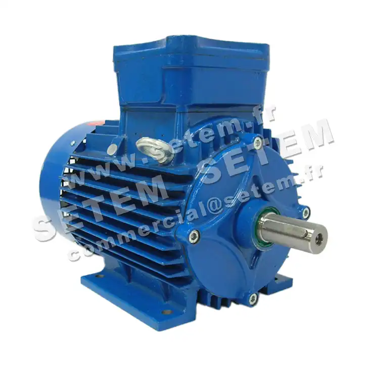 0760001090-MOTEUR ATAV 2.20KW 4P T230/400V HA100 B3 EXDIIBT5GB 2