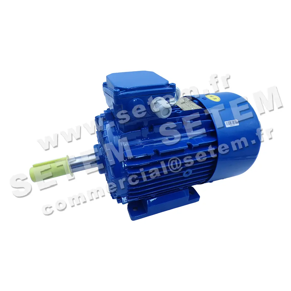 0773001110-MOTEUR CANTONI 2.20KW 4P T230/400V HA100 B3 3SIE100L4A