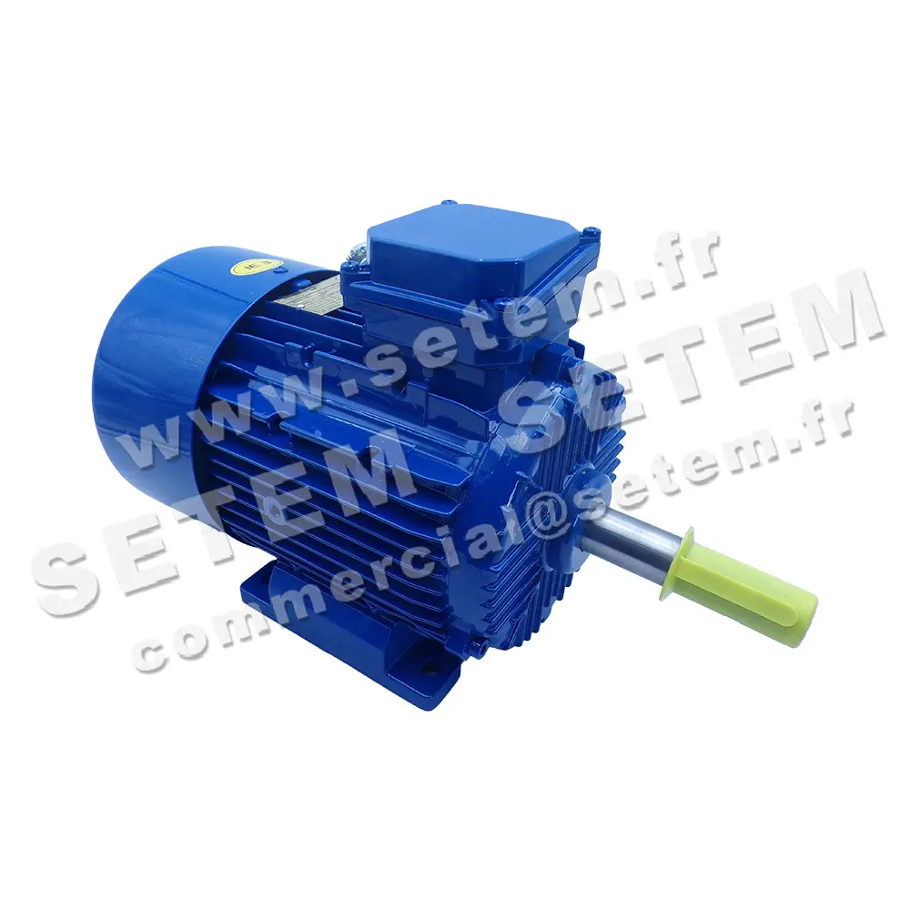 0773001110-MOTEUR CANTONI 2.20KW 4P T230/400V HA100 B3 3SIE100L4A 3