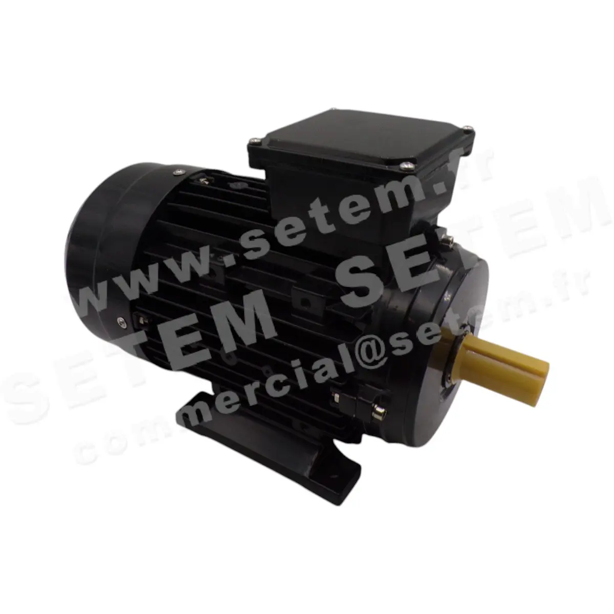 0795000080-MOTEUR CEMER 2.20KW 2P T230/400V HA90 B3 IE3-MSE90L1-2 2