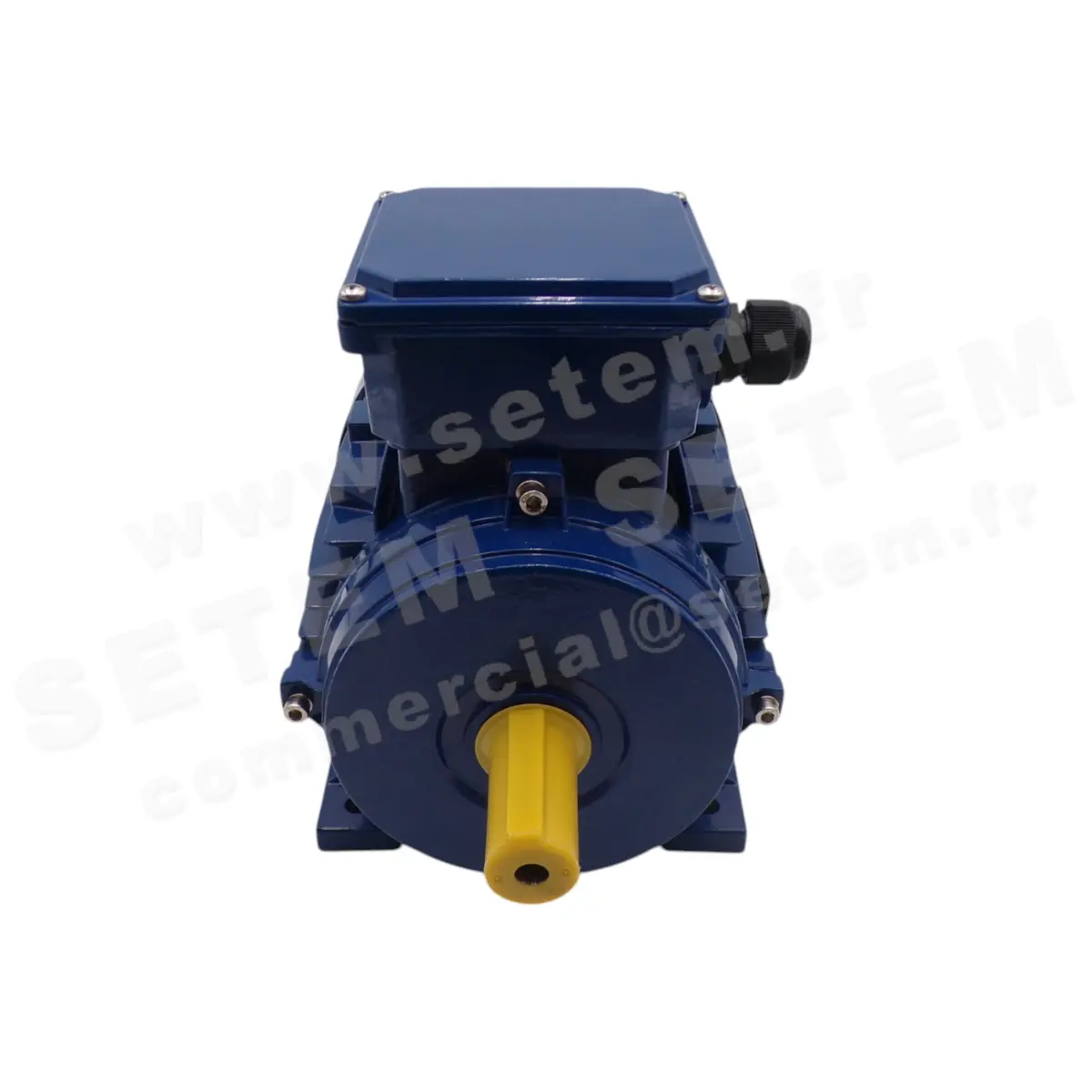 0795001060-MOTEUR CEMER IEC/EN 60034-1 4