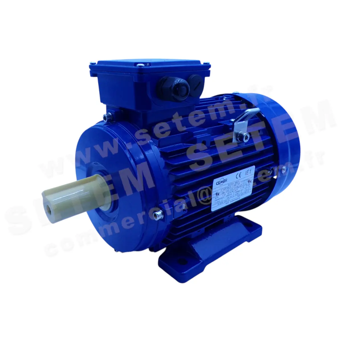 0795001115-MOTEUR CEMER 3KW 4P T230/400V HA100 B3 IE1-MSE100L2-4 2