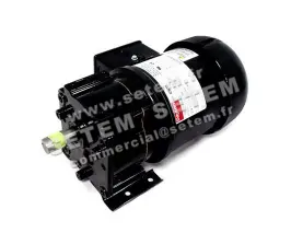 1206000002-MOTOREDUCTEUR DAYTON 6Z821D