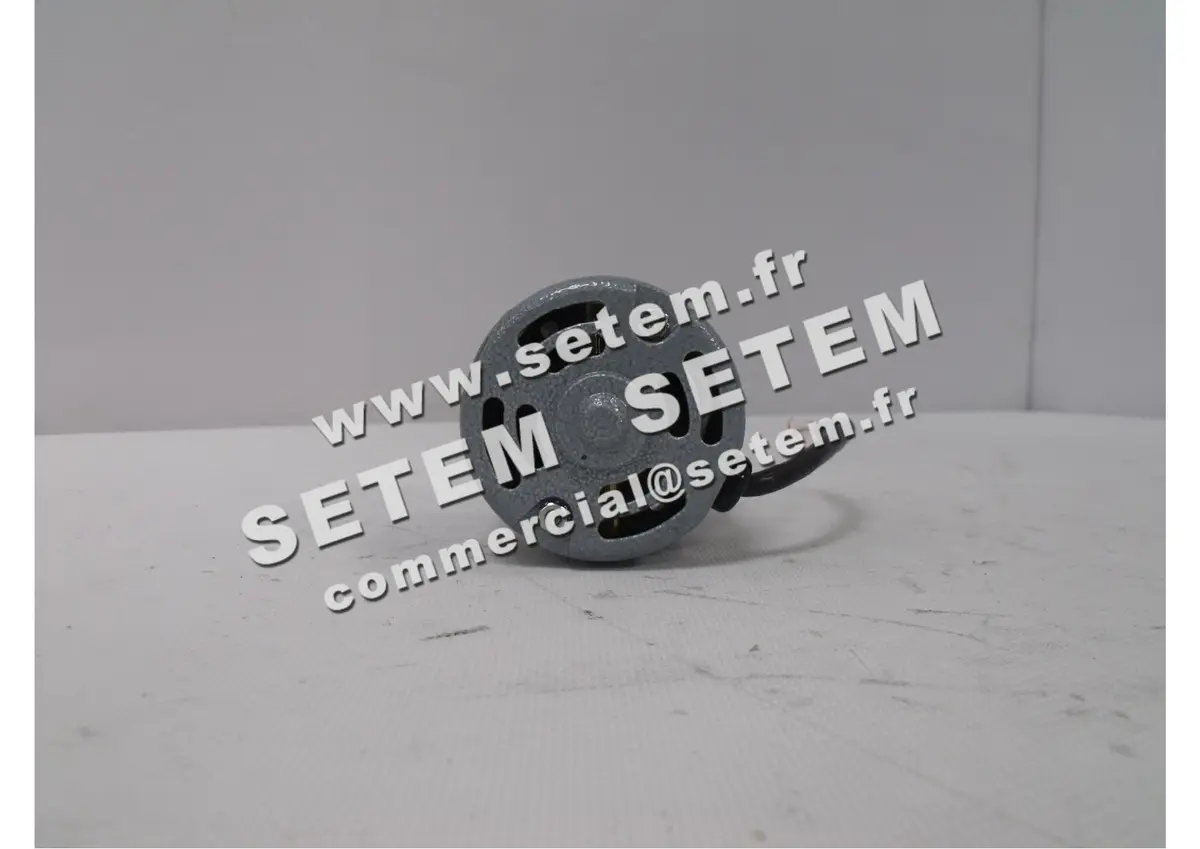 1206002017-MOTEUR DAYTON 2M139B 2