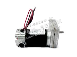 1206006005-MOTOREDUCTEUR DAYTON 1LPW3A