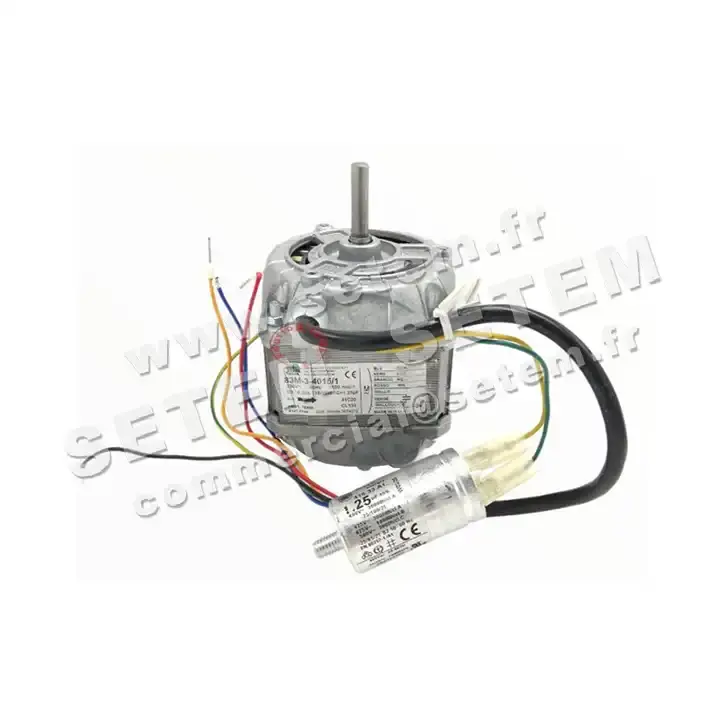 1539000090-MOTEUR EUROMOTORS 83M-34015/1