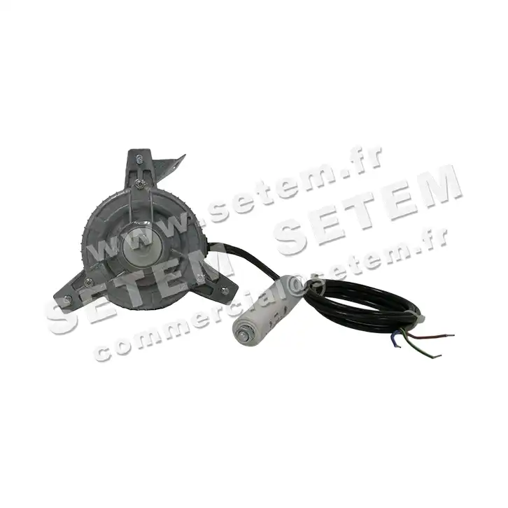 1539000102-MOTEUR EUROMOTORS 101M-3070 *4131.0102* 2