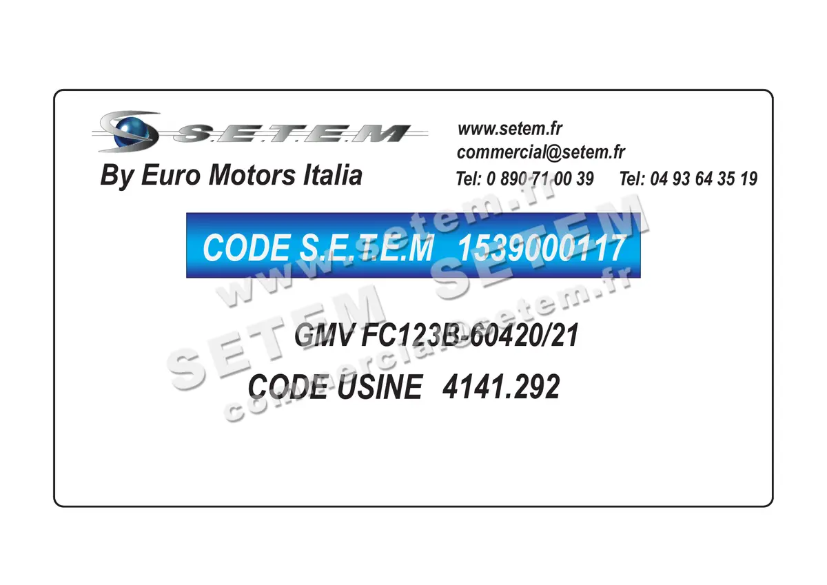 1539000117-GMV EUROMOTORS FC123B-60420/21 *4141.2920* 2