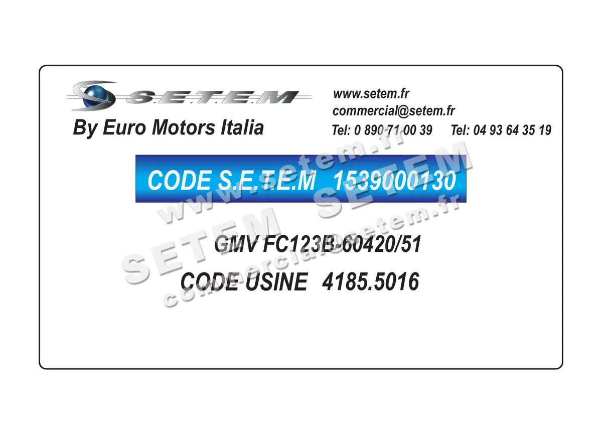 1539000130-GMV EUROMOTORS FC123B-60420/51 *4185.5016* 2
