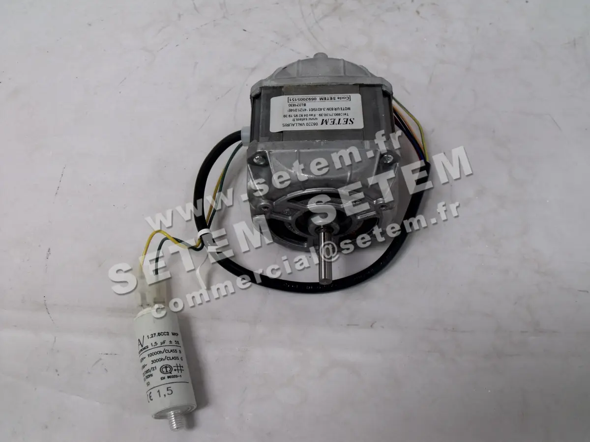 1539000146-MOTEUR EUROMOTORS 83M-3-4015/O1 5