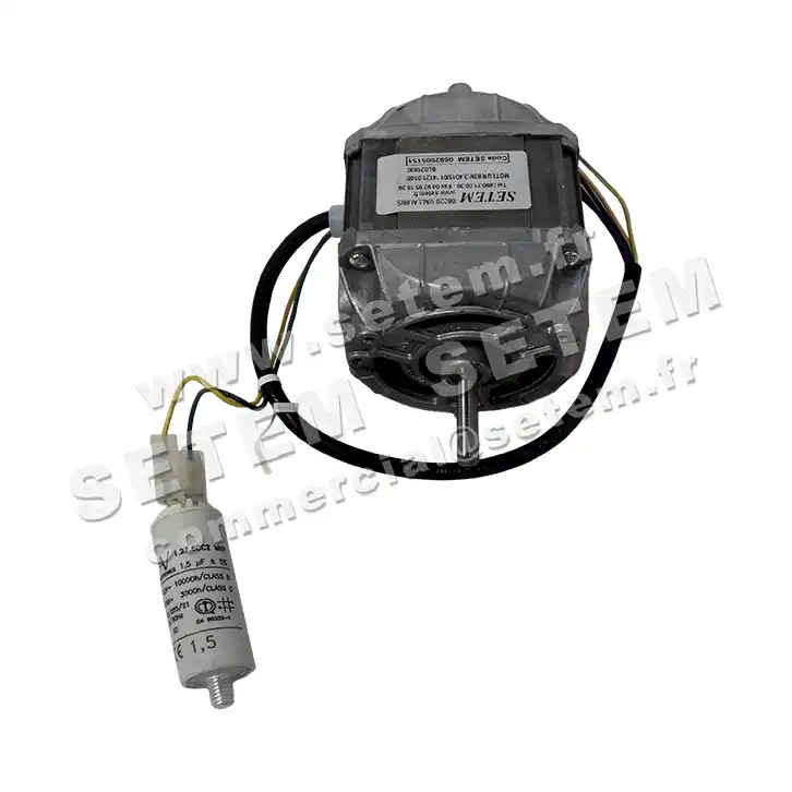 1539000146-MOTEUR EUROMOTORS 83M-3-4015/O1 6