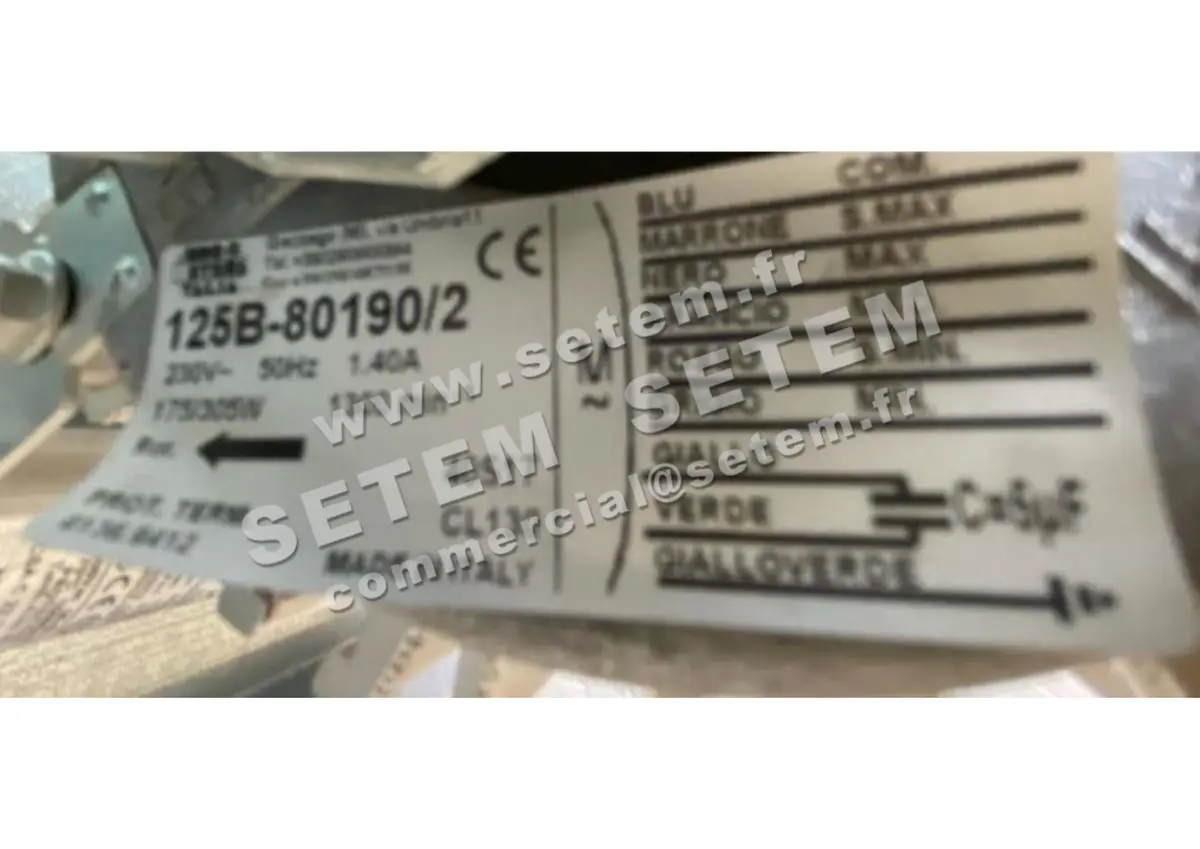 1539000228-MOTEUR EUROMOTORS 125B-80190/2 *4136.8412*