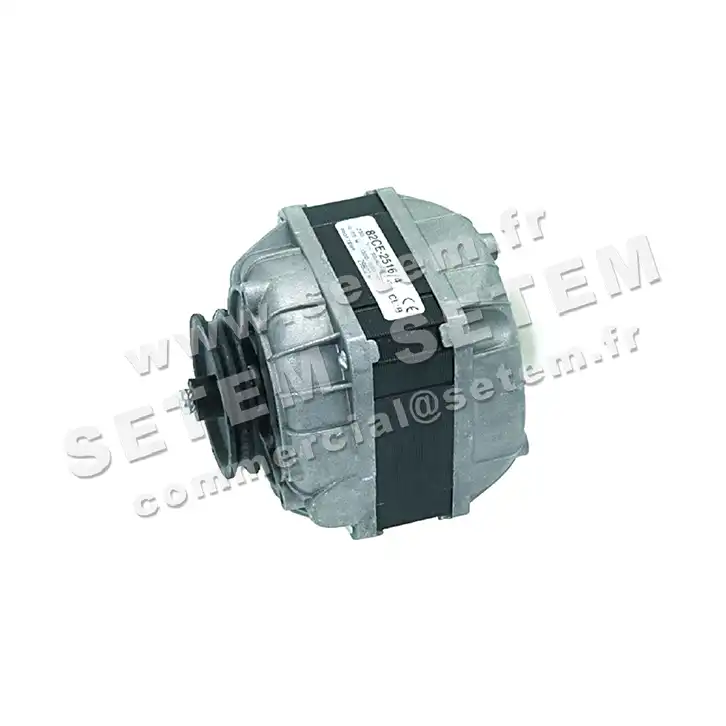 1539000248-MOTEUR EUROMOTORS 82CE-2516/4 2