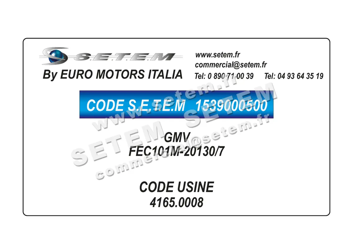 1539000500-GMV EUROMOTORS FEC101M-20130/7 *4165.0008* 2