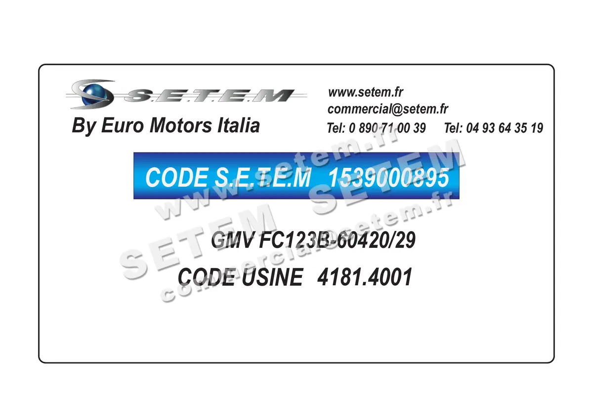 1539000895-GMV EUROMOTORS FC123B-60420/29 *4181.4001*
