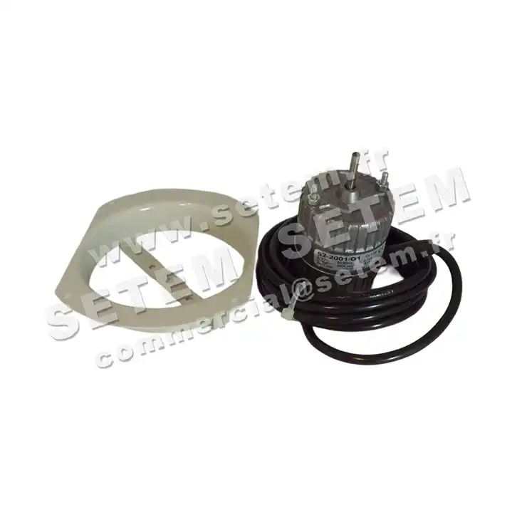 1539001002-MOTEUR EUROMOTORS 52-2001/O1 *4150.1002* 2