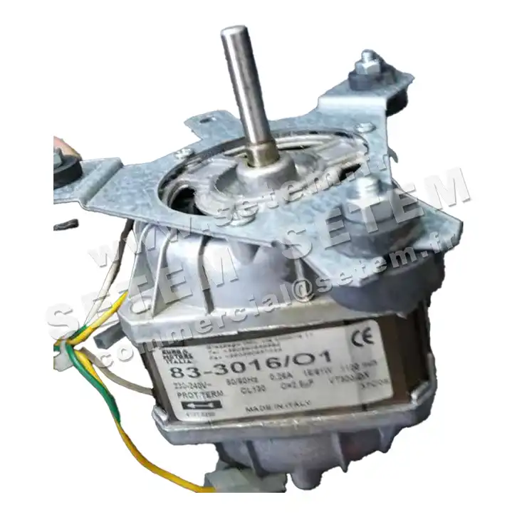 1539001245-MOTEUR EUROMOTORS 83-3016/O1 *4121.0250* 6