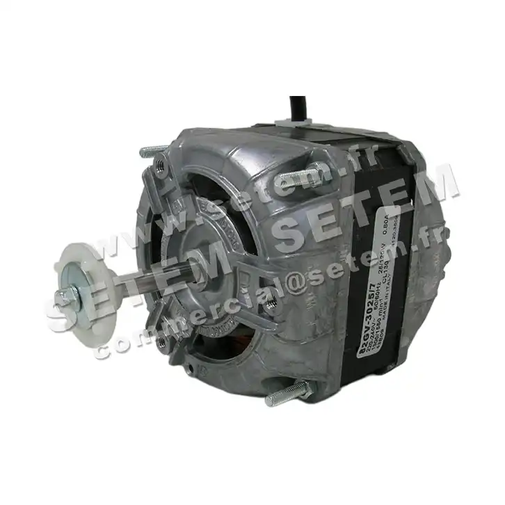 1539003609-MOTEUR EUROMOTORS 82GV.3025/7 *4120.3609* 2