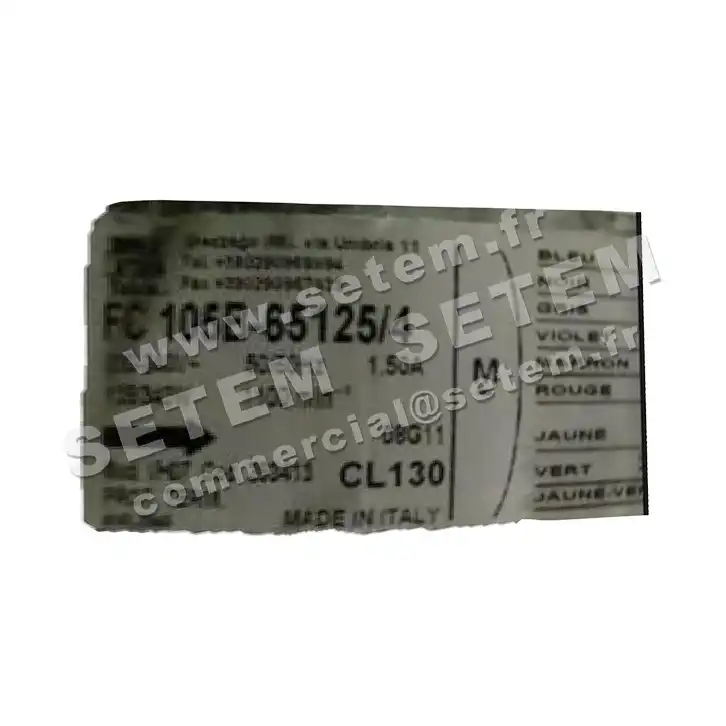 1539003756-GMV EUROMOTORS FC105B.65125/4 "293413" *4141.2946* 3