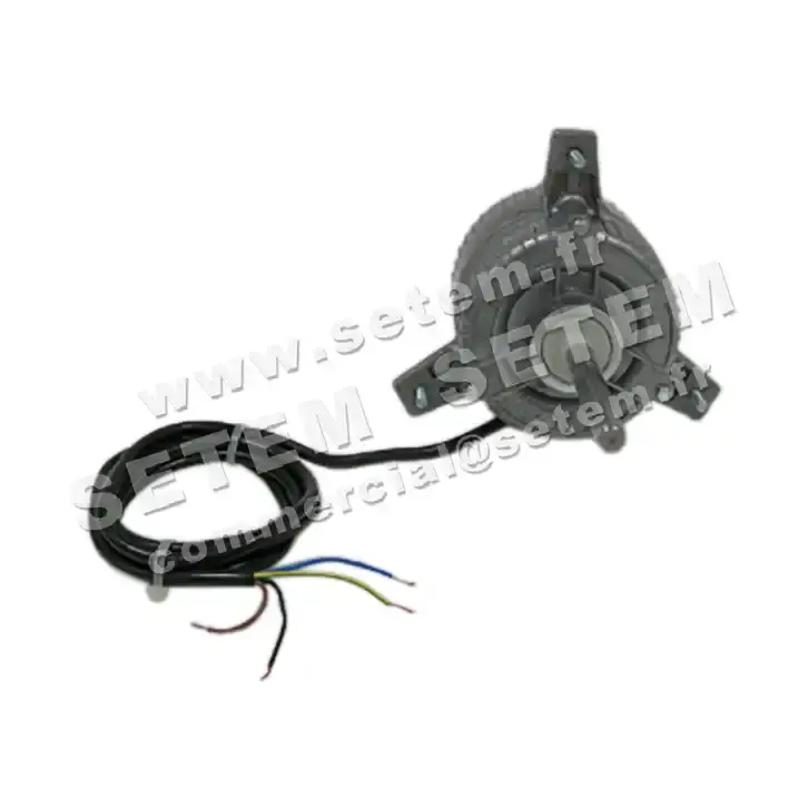 1539005038-MOTEUR EUROMOTORS 101T.30145 *4133.0605*