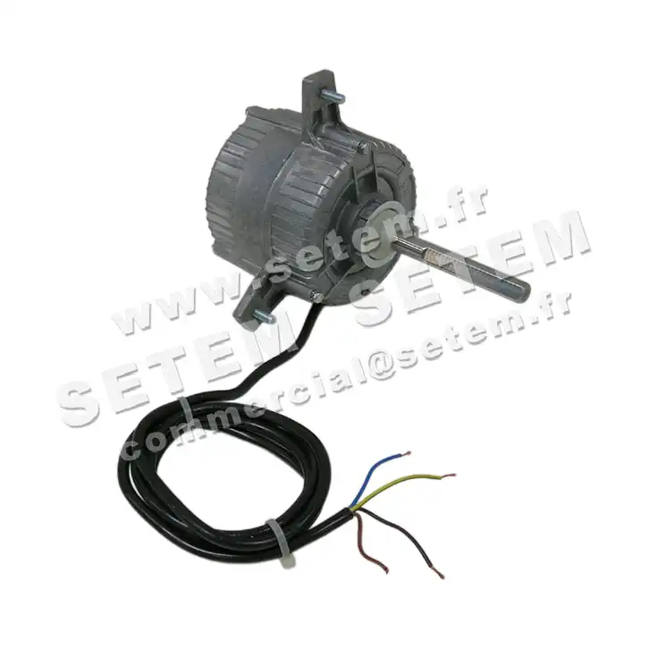 1539005038-MOTEUR EUROMOTORS 101T.30145 *4133.0605* 2