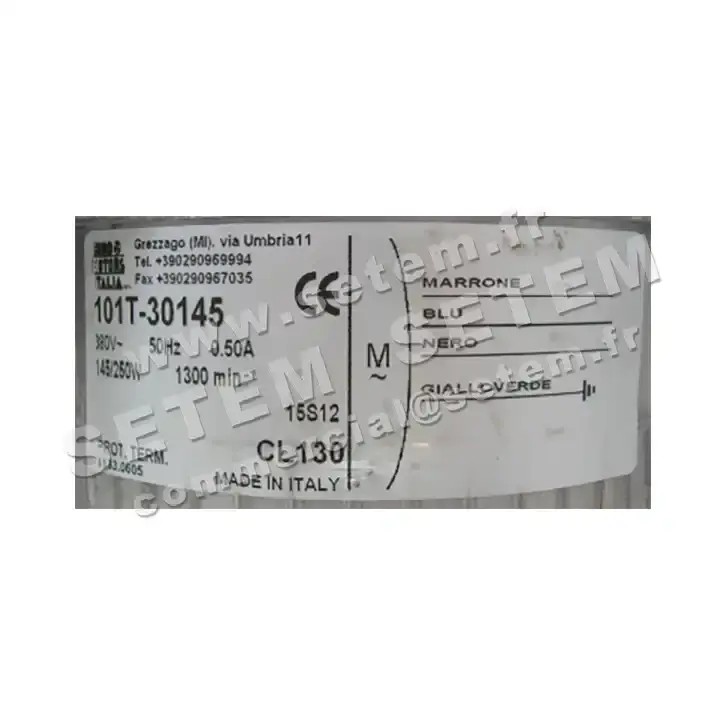 1539005038-MOTEUR EUROMOTORS 101T.30145 *4133.0605* 3