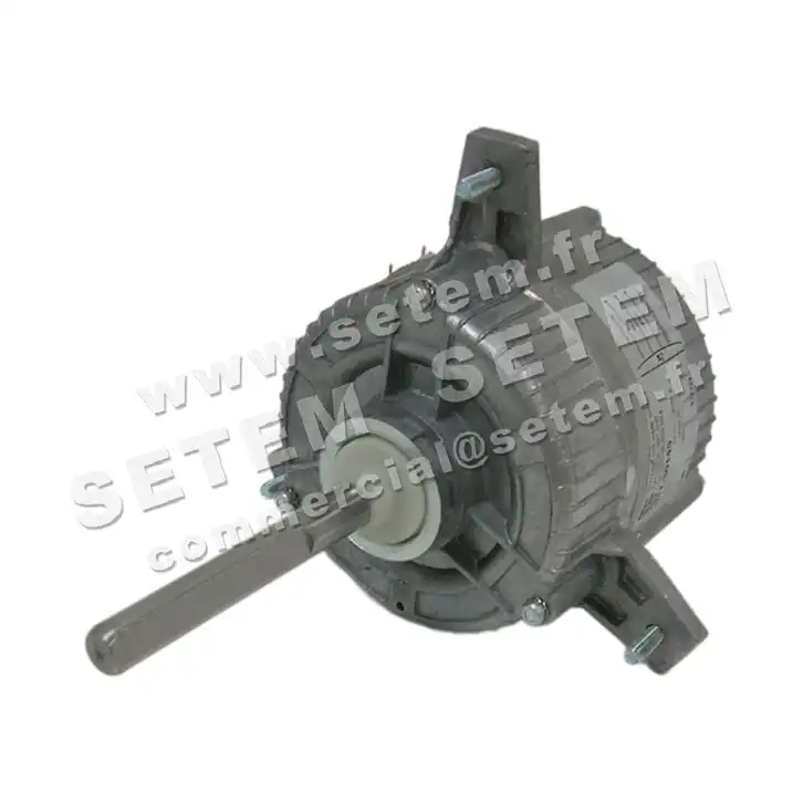 1539005038-MOTEUR EUROMOTORS 101T.30145 *4133.0605* 3