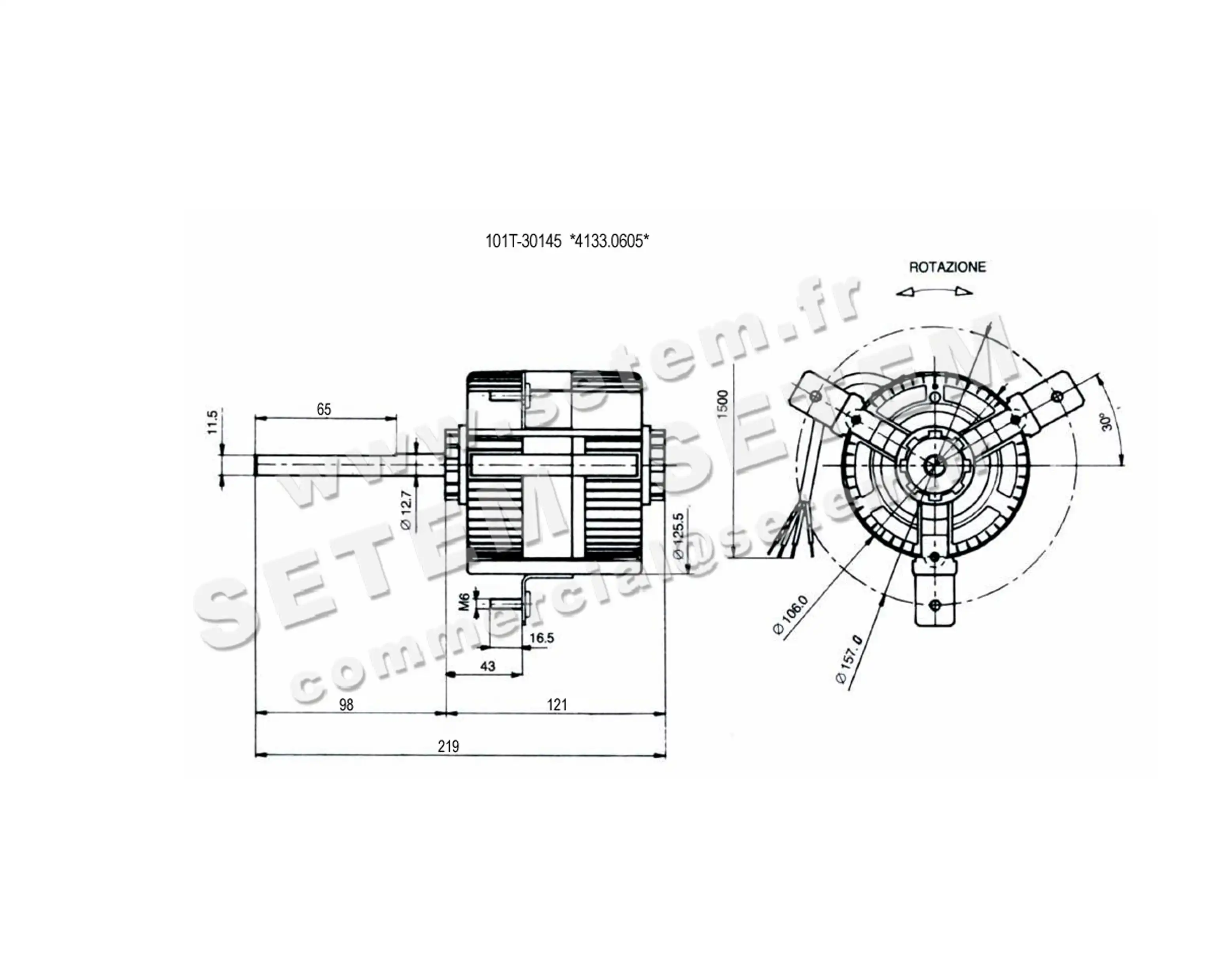 1539005038-MOTEUR EUROMOTORS 101T.30145 *4133.0605* 6