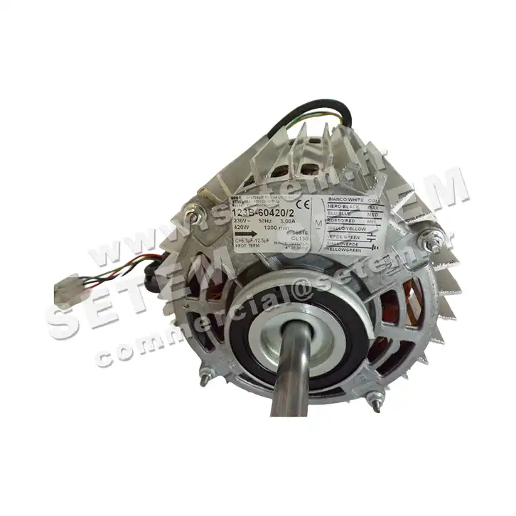 1539006104-MOTEUR EUROMOTORS 123B-60420/2 *4136.6002* 2